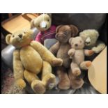 Various collectable teddy bears