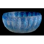 R. LALIQUE, FRANCE A 20TH CENTURY OPALESCENT PERRUCHE BOWL HIGHLIGHTED WITH BLUE STAINING