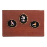 A SET OF THREE 19TH CENTURY OVAL MICRO MOSAIC PANELS depicting brightly coloured birds mounted on