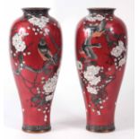 A PAIR OF LATE 19TH CENTURY JAPANESE CLOISONNE VASES red ground decorated with birds on floral
