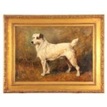 JOHN EMMS (1844 - 1912) A LATE 19TH CENTURY OIL ON CANVAS depicting a wire-haired Jack Russel 45cm