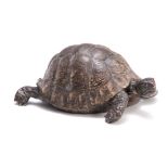 FRANZ BERGMAN A LATE 19TH CENTURY COLD PAINTED BRONZE SCULPTURE OF A TORTOISE with foundry stamp and