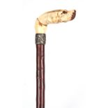 A LATE 19TH CENTURY CARVED IVORY WALKING CANE depicting a dog with a rococo brass collar and