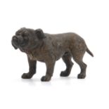 A LATE 19TH CENTURY COLD PAINTED AUSTRIAN BRONZE SCULPTURE OF A BULLDOG in the manner of Franz