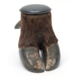 A LATE 19th CENTURY TAXIDERMY BUFFALO FOOT formed as a lidded jar with ebonized domed lid 18cm high