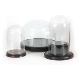 A COLLECTION OF THREE LATE 19TH CENTURY GLASS DOMES ON EBONISED BASES the taller dome with retailers