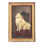 MAUD EARL (1864 - 1943). AN EARLY 20TH CENTURY OIL ON ARTIST BOARD OF A WHITE SPITZ TYPE DOG sitting