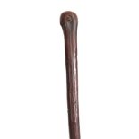 A LATE 19th CENTURY HOLLY WOOD 'FLICK STICK' WALKING CANE the root handle having a brass hinged
