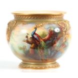 A SIGNED ROYAL WORCESTER JARDINAIRE of ovoid shape with gilt foot, the body painted with peacocks