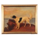 FILLIPO BRUZZI - OIL ON CANVAS portrait of a Gundog standing on rocks 40cm high, 50cm wide -