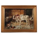 A 20TH CENTURY OIL ON BOARD FARMYARD SCENE DEPICTING SCENE OF CALVES AND CHICKENS - 52cm high 74cm