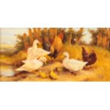A 20TH CENTURY OIL ON PANEL OF A FARMYARD SCENE DEPICTING DUCKS AND CHICKENS signed and in the