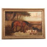 GEORGE ARMFIELD 1808-93 - OIL ON RELINED CANVAS horse and dogs resting in a landscape 49.5cm high,