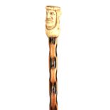 A 19th CENTURY CARVED STAGHORN HANDLED WALKING CANE modelled as a face with glass eyes, the top with
