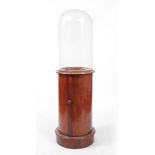 A LATE 19TH CENTURY GLASS DOME ON MAHOGANY STAND the base with hinged opening door supported on