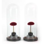 A PAIR OF LATE 19TH CENTURY CYLINDRICAL GLASS DOMES ON TURNED EBONISED BASES covering a pair of