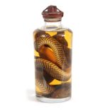 A 19th CENTURY PRESERVED SNAKE IN SEALED JAR the stopper with a red wax seal, jar also contains