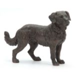 A 19TH CENTURY FRENCH BRONZE SCULPTURE modelled as a mastiff dog 17cm high 23cm wide