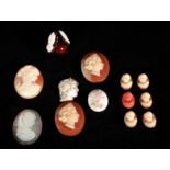 A GROUP OF OVAL CAMEO BUST PORTRAITS of varying colour and size