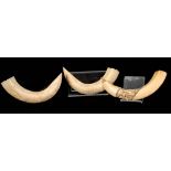 A PAIR OF LATE 19th CENTURY CARVED HIPPOPOTAMUS TUSKS decorated with crocodiles eating fish 22cm