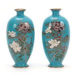 A PAIR OF MEIJI PERIOD JAPANESE CLOISONNE OVOID VASES with sky blue ground decorated with blossoming