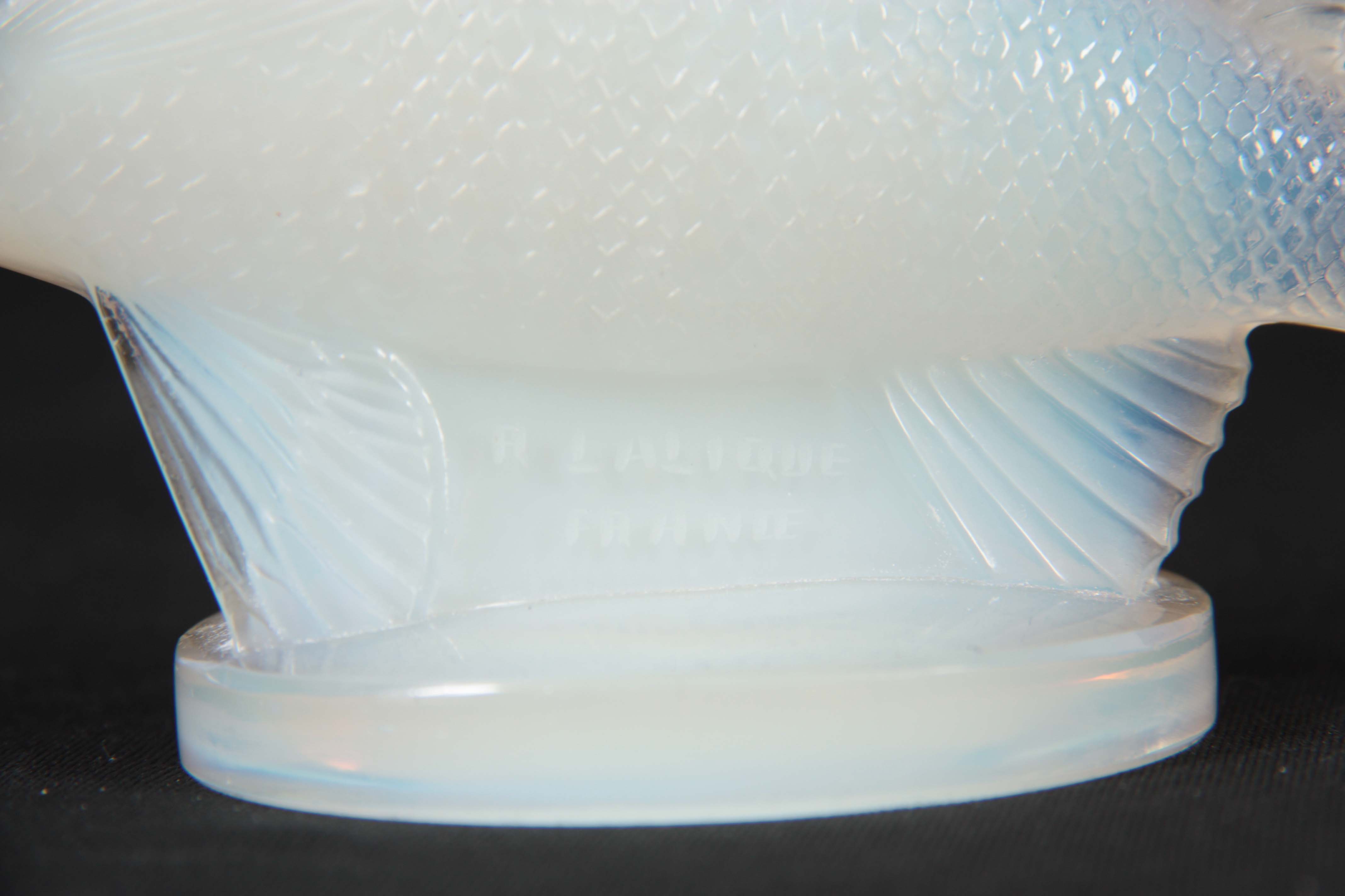 RENE LALIQUE. AN EARLY 20th CENTURY OPALESCENT GLASS 'PERCHE' CAR MASCOT signed below the fish on - Image 5 of 6