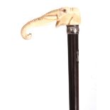 AN EARLY 20TH CENTURY CARVED IVORY AND ROSEWOOD WALKING CANE the handle modelled as an elephants