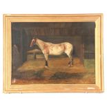 J SEAR - 19TH CENTURY OIL ON CANVAS study of a Horse in stable setting 44.5cm high 60cm wide