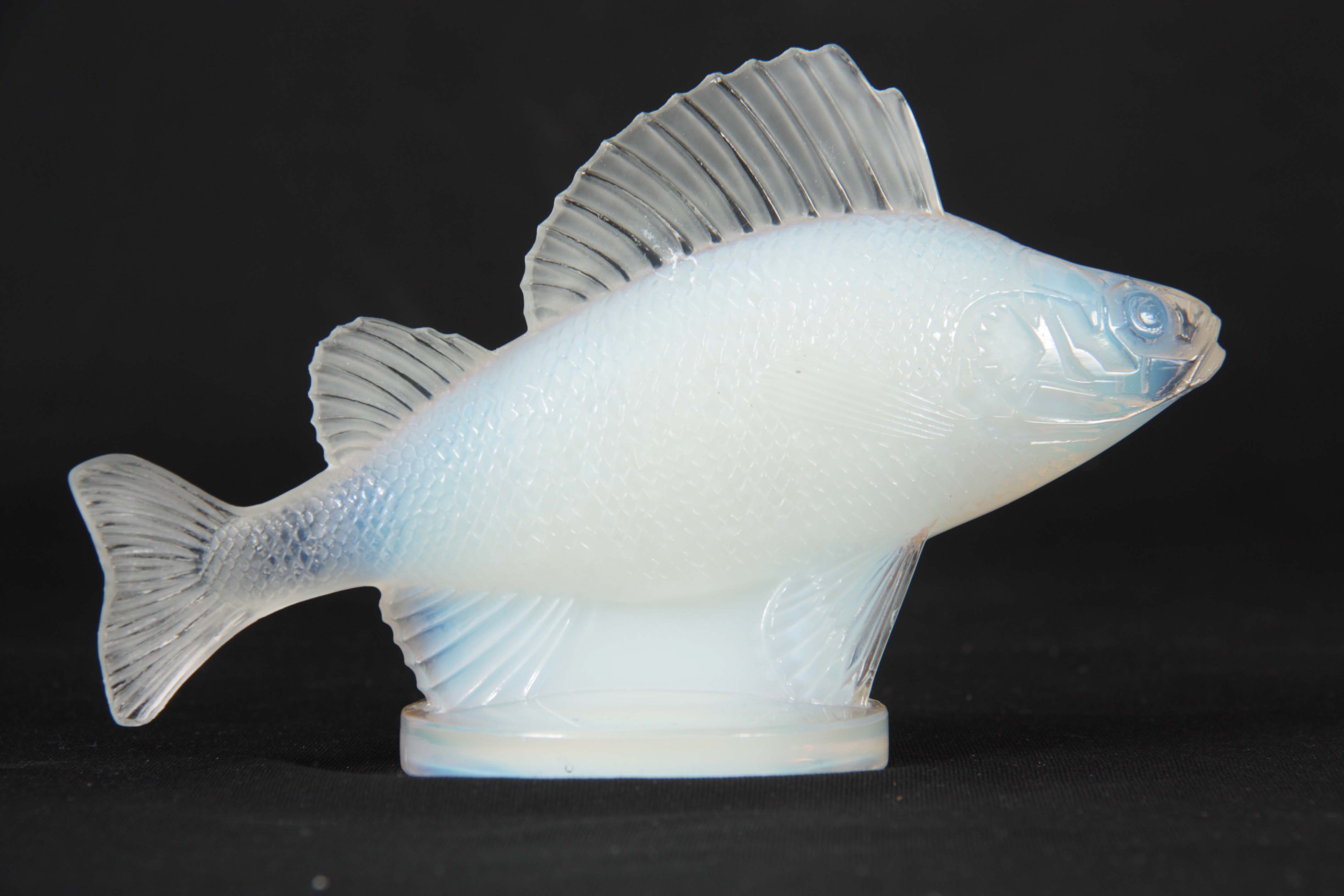 RENE LALIQUE. AN EARLY 20th CENTURY OPALESCENT GLASS 'PERCHE' CAR MASCOT signed below the fish on - Image 3 of 6