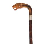 AN EDWARDIAN HORN HANDLES BAMBOO WALKING STICK with carved tigers head inset with amber glass eyes