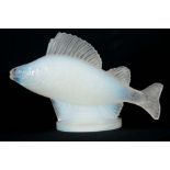 RENE LALIQUE. AN EARLY 20th CENTURY OPALESCENT GLASS 'PERCHE' CAR MASCOT signed below the fish on