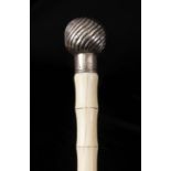 A LATE 19TH CENTURY SILVER AND IVORY WALKING STICK having a silver gadrooned ball handle on a turned