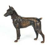 A 19TH CENTURY BRONZE SCULPTURE OF A DOG 15cm wide 14cm high.