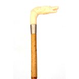 A 19TH CENTURY CARVED IVORY DOGS HEAD HANDLE WALKING STICK with cane shaft and silver collar 87cm