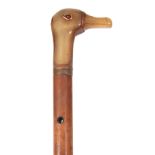 AN EARLY 19TH CENTURY MALACCA CANE WALKING STICK WITH RHINO HORN HANDLE CARVED AS A DUCKS HEAD