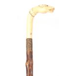 A 19TH CENTURY KNOTTED BLACKTHORN WALKING STICK WITH CARVED IVORY HANDLE FORMED AS A HORSES HEAD