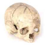 A LATE 19TH CENTURY HUMAN SKULL missing lower jaw, good original patina