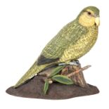 MIKE WOOD A LIFESIZE CARVING OF A KAKAPO realistically modelled with glass eyes standing on a carved