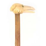 A 19TH CENTURY KNOTCHED RHINO HORN WALKING STICK WITH CARVED IVORY HANDLE DEPICTING A BIRDS HEAD