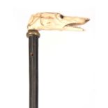 A 19TH CENTURY EBONY WALKING STICK WITH CARVED IVORY HANDLE FORMED AS A DOGS HEAD with brass