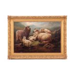 WILLIAM PERRING HOLLYER 1834-1922 OIL ON CANVAS. Sheep resting in the highlands, titled on