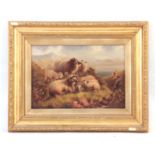 W. THOMPSON 19TH CENTURY OIL ON CANVAS. Sheep resting with there lambs 26.5cm high, 39.5cm wide -