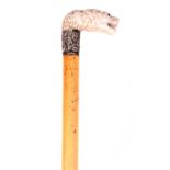 A 19TH CENTURY CARVED IVORY AND SILVER MOUNTED DOG HEAD WALKING STICK the handle modelled as a