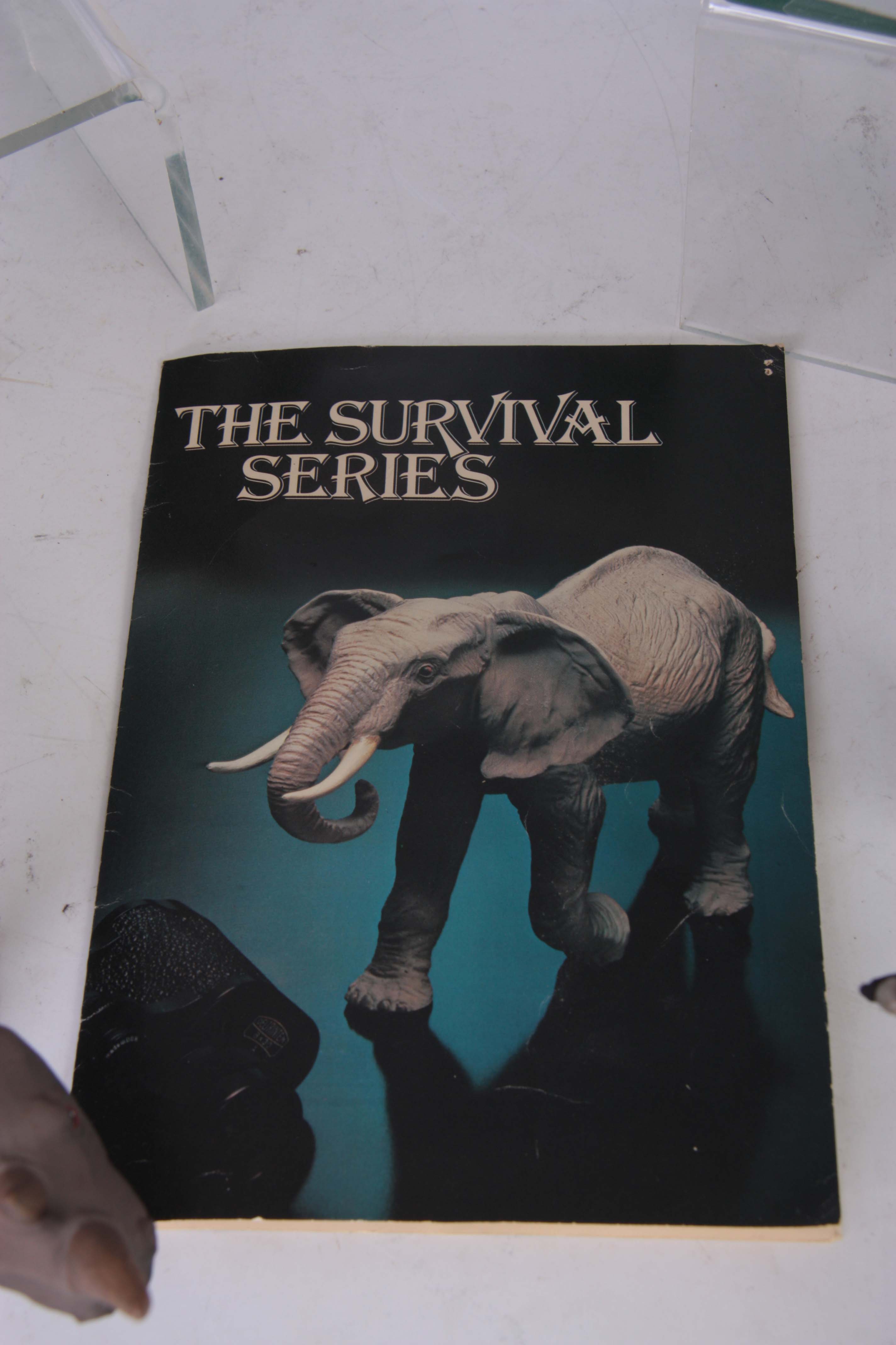 A GROUP OF FOUR WADE, ENGLAND 'WORLD OF SURVIVAL' WILD ANIMAL FIGURES comprising African Elephant, - Image 5 of 5