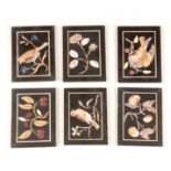 A SET OF SIX 18TH CENTURY PIETRA DURA INLAID PLAQUES three decorated with birds and three with fruit