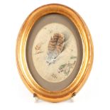 A MINIATURE WATERCOLOUR depicting a feather - initialled EP 8.5cm high 6cm wide mounted in a