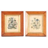 A PAIR OF EARLY 19TH CENTURY FLOWER SPRAY COLOURED PRINTS depicting named floral specimens each