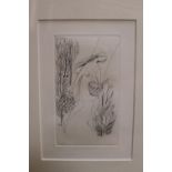 Framed etching of a Young woman with fruit baskets , monogrammed MW with blind stamp for Studio