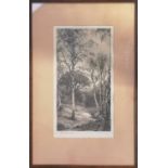 Fred Slocombe, Etching of a Woodland scene signed in Pencil. 17 x 32cm