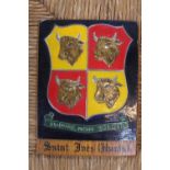 Local Interest; St Ives Hunts Metal plaque hand painted mounted on wooden panel CAT CHANGE